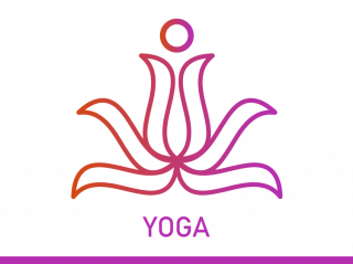 Vinyasa Flow Yoga 